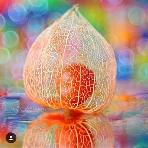 Meet your Posher, Yan qin